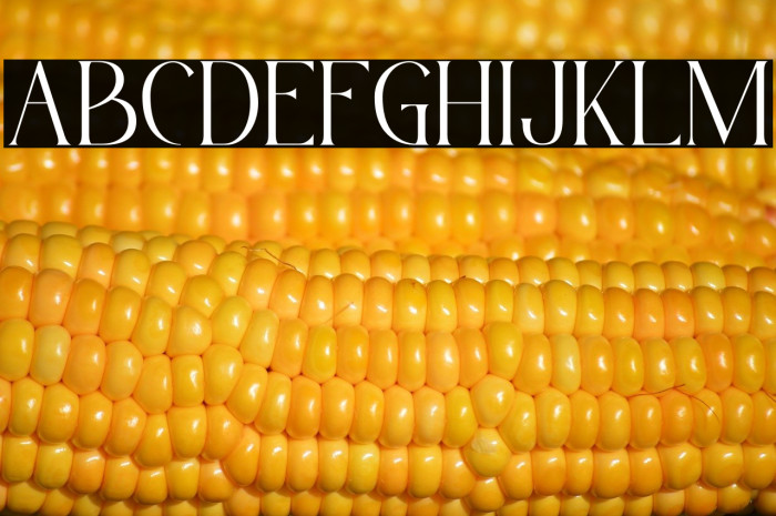 Misslena Personal use Example 2