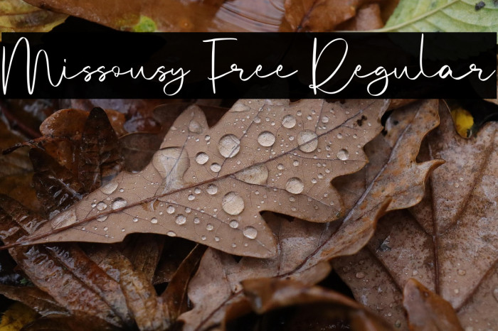 Missousy Free Regular Example 2