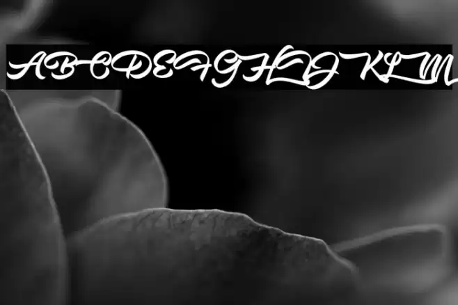 Misstral Font examples