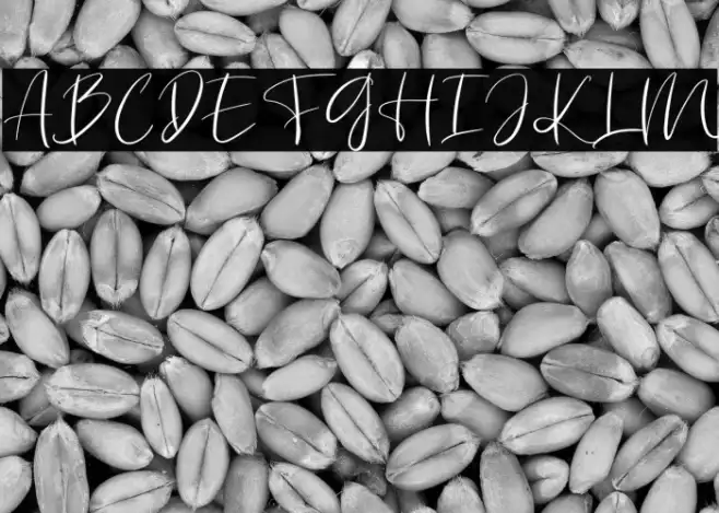 Missy Example 3
