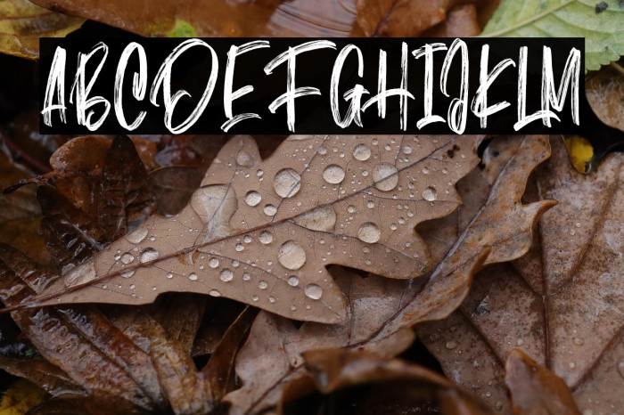 Mist Sunshine Brush Free Example 1