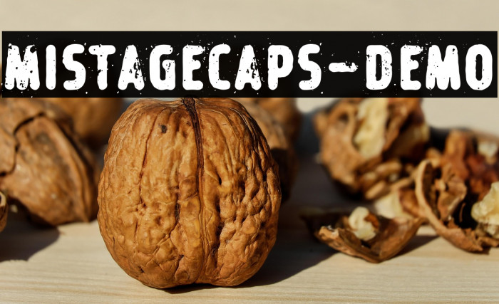 MistageCaps-Demo Example 2