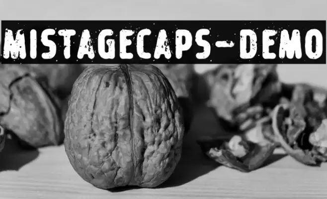 MistageCaps-Demo Example 2