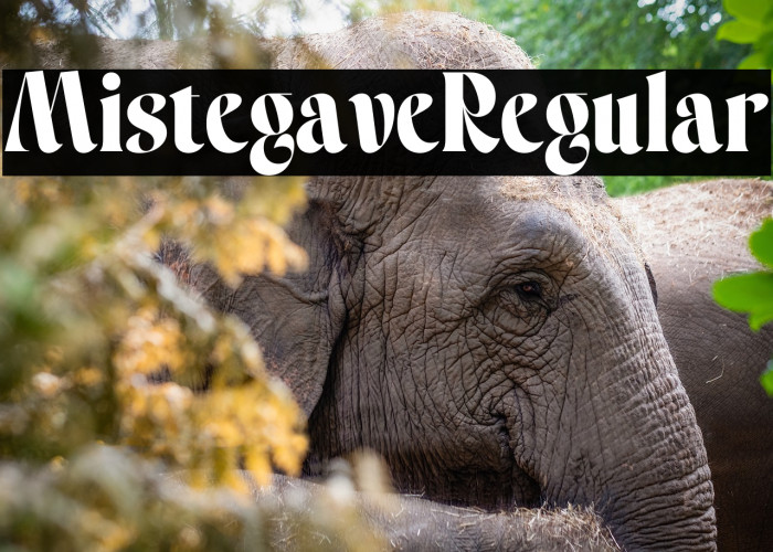 Mistegave Regular Example 1