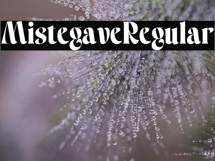 Mistegave Regular Example 2