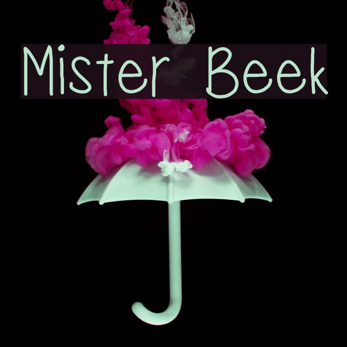 Mister Beek Font examples