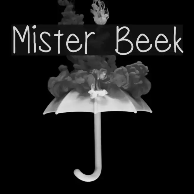 Mister Beek Example 1