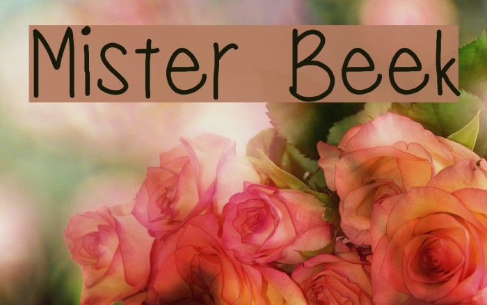Mister Beek Font examples