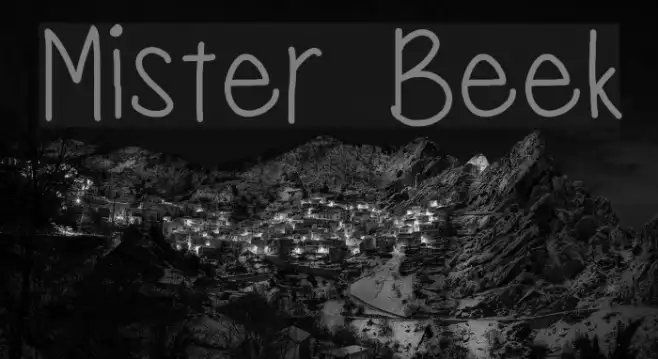 Mister Beek Example 3