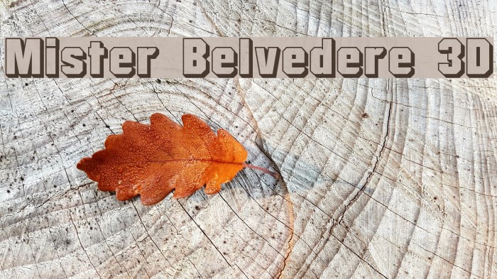 Mister Belvedere 3D Font examples