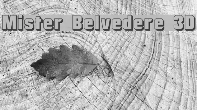 Mister Belvedere 3D Шрифта examples