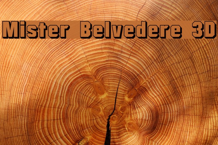 Mister Belvedere 3D Font examples