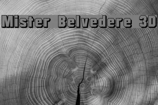 Mister Belvedere 3D Шрифта examples