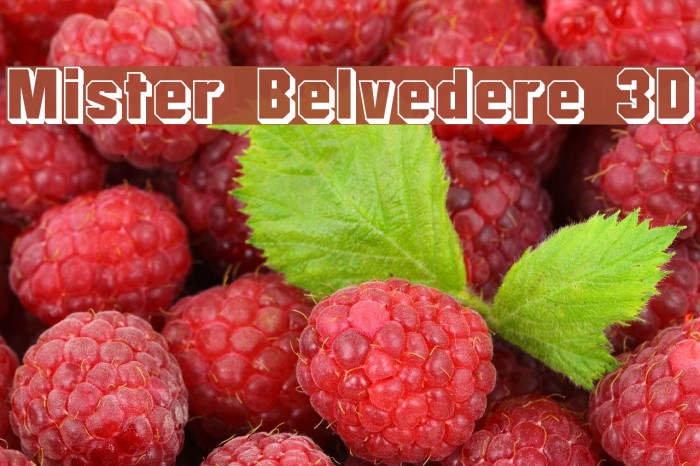 Mister Belvedere 3D Font examples
