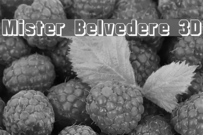 Mister Belvedere 3D Шрифта examples