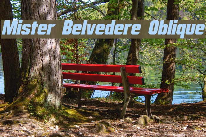 Mister Belvedere Oblique Font examples