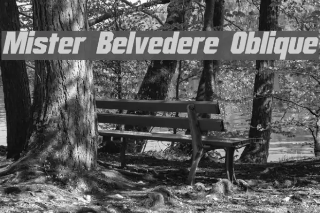 Mister Belvedere Oblique Example 1