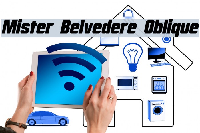 Mister Belvedere Oblique Font examples