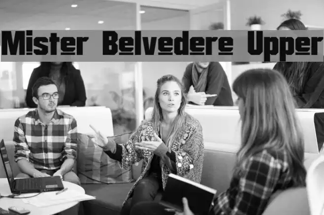 Mister Belvedere Upper Example 1