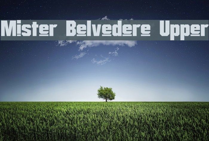 Mister Belvedere Upper Fuentes examples