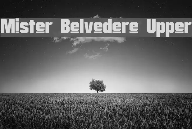 Mister Belvedere Upper Example 2