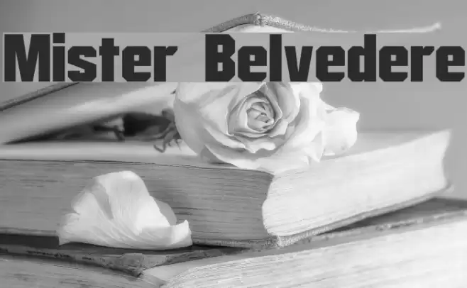 Mister Belvedere Font examples