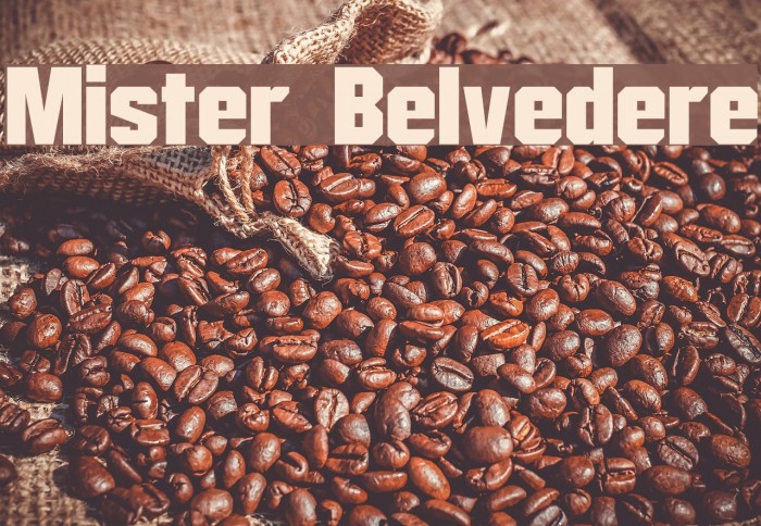 Mister Belvedere Font examples