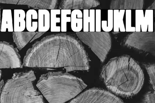 Mister Black Font examples