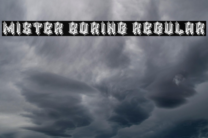 Mister Boring Regular Example 1