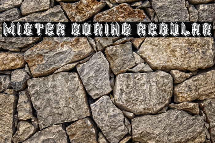 Mister Boring Regular Example 2