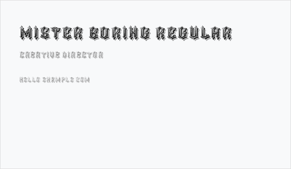 Mister Boring Regular Business Card
