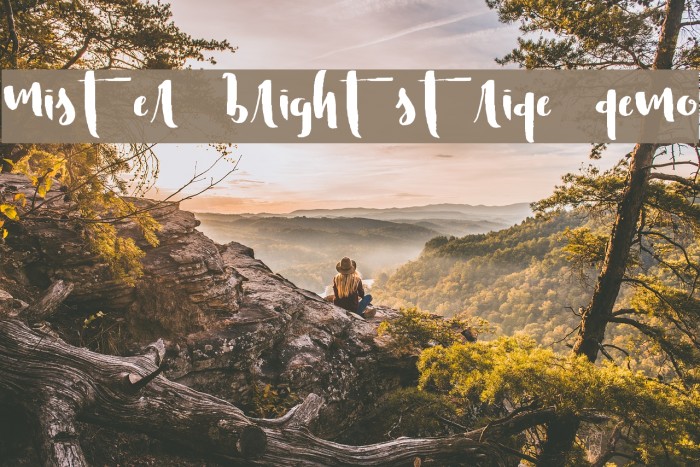 Mister Brightstride Demo Font examples