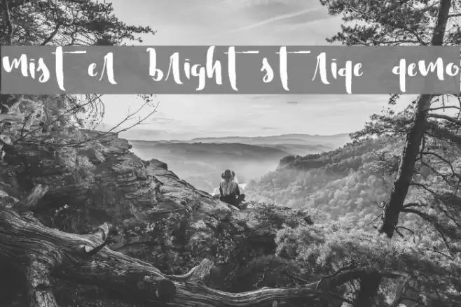 Mister Brightstride Demo Schriftart examples