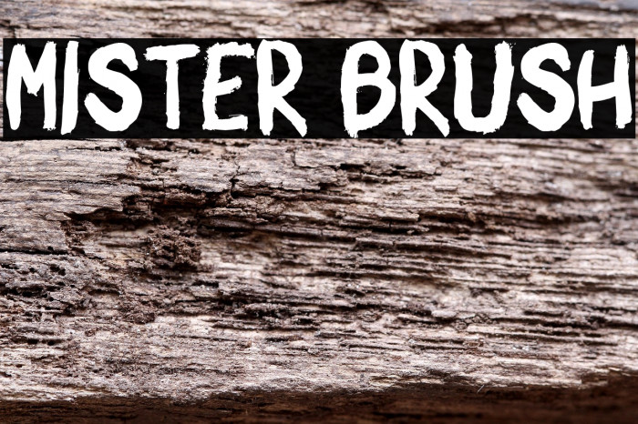 Mister Brush Example 1