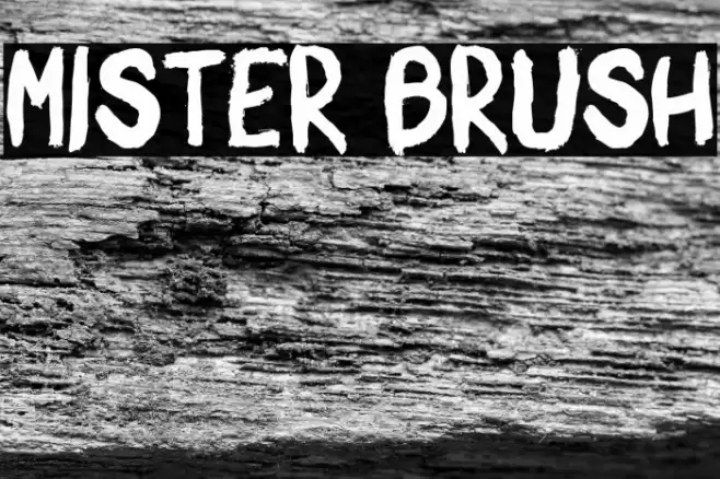 Mister Brush Font examples