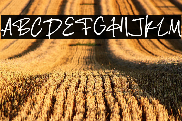 Mister Bugadi Example 2