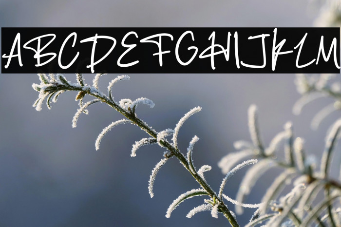 Mister Bugadi Example 3