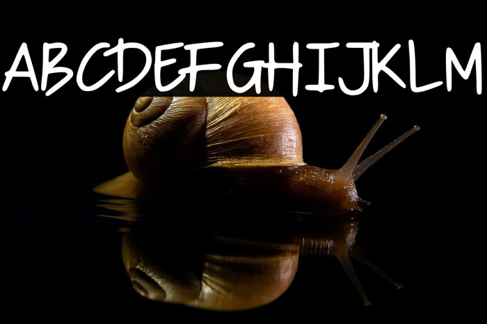 Mister Child Example 1