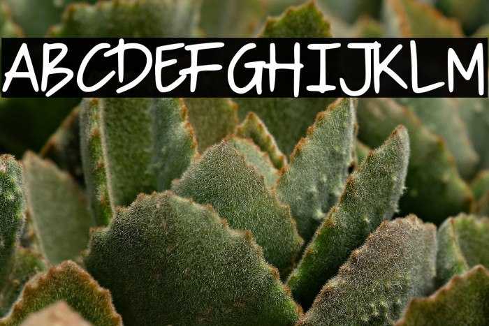 Mister Child Example 3