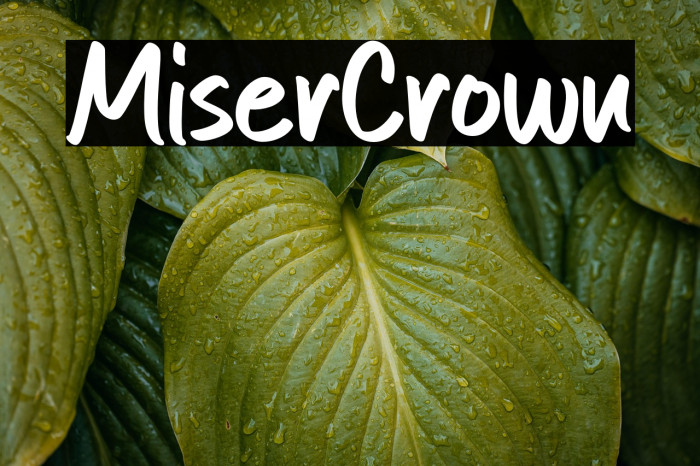 Mister Crown Example 2