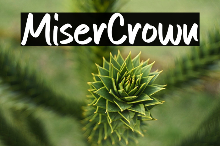 Mister Crown Example 3