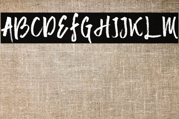 Mister Fast Example 1