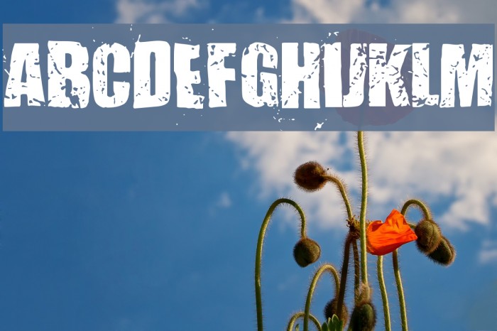 Mister Filthy Example 1