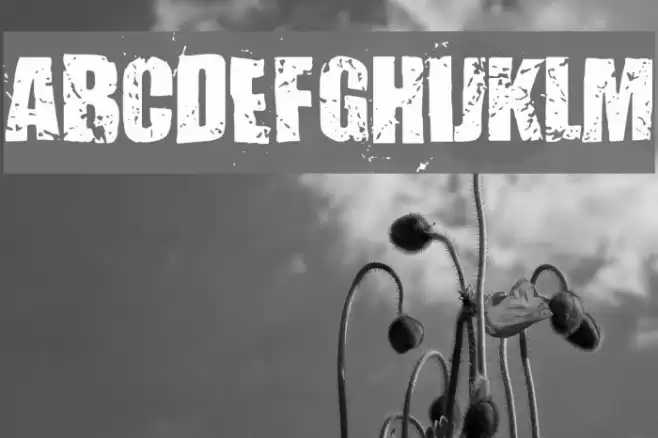 Mister Filthy Font examples