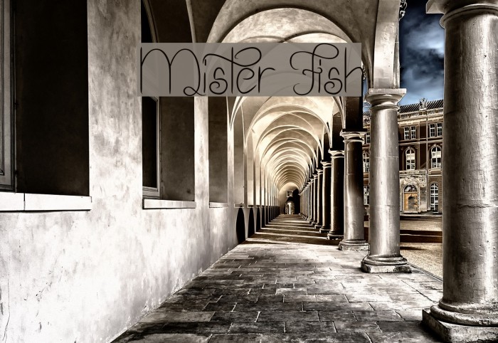 Mister Fish Font examples