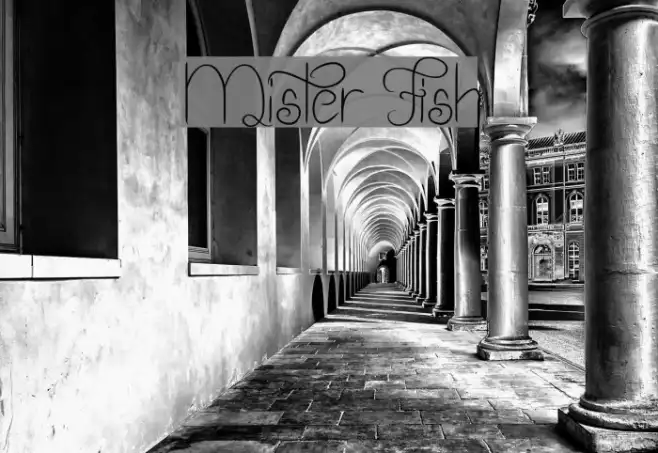 Mister Fish Example 2