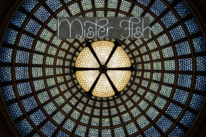 Mister Fish Font examples