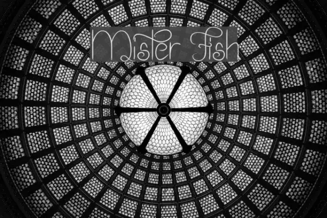 Mister Fish Example 3