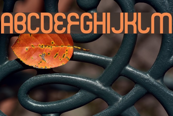 Mister Fisher Font examples