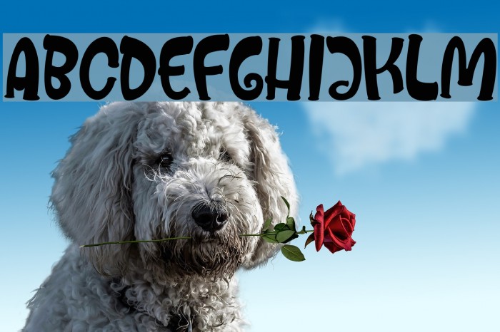 Mister Froggie Regular Font examples